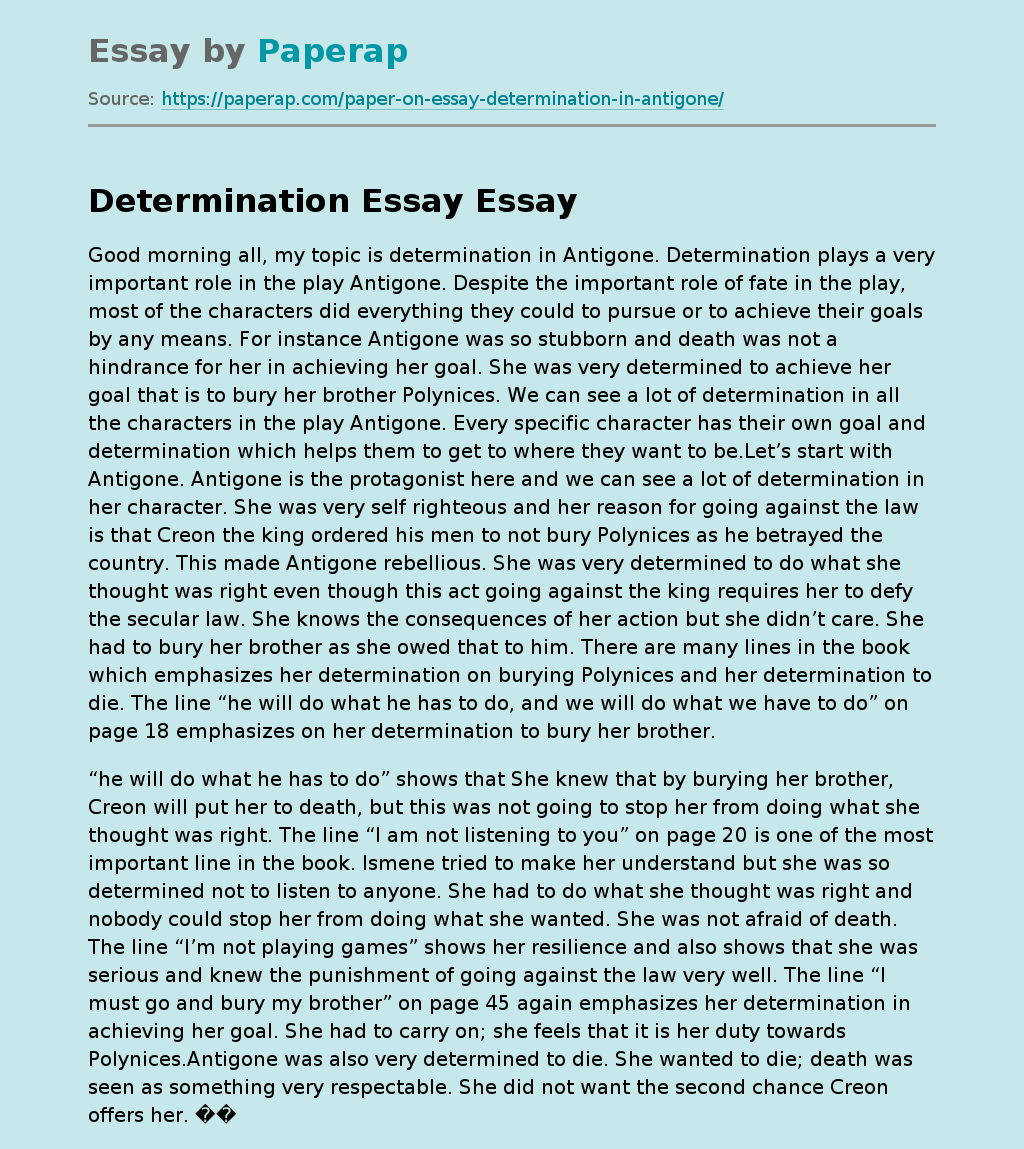 essay determination