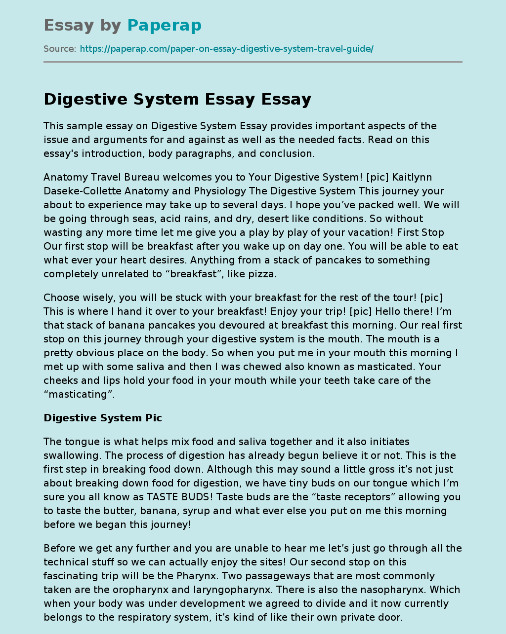 Digestive System Essay