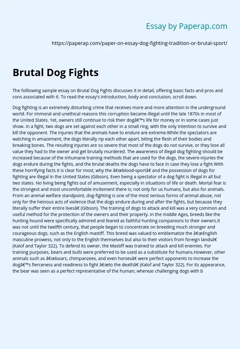 Brutal Dog Fights