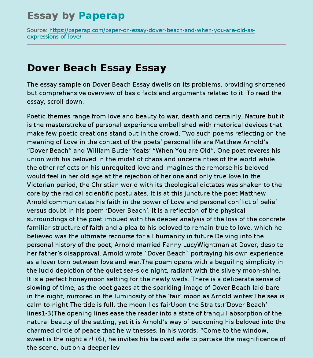 Dover Beach Essay