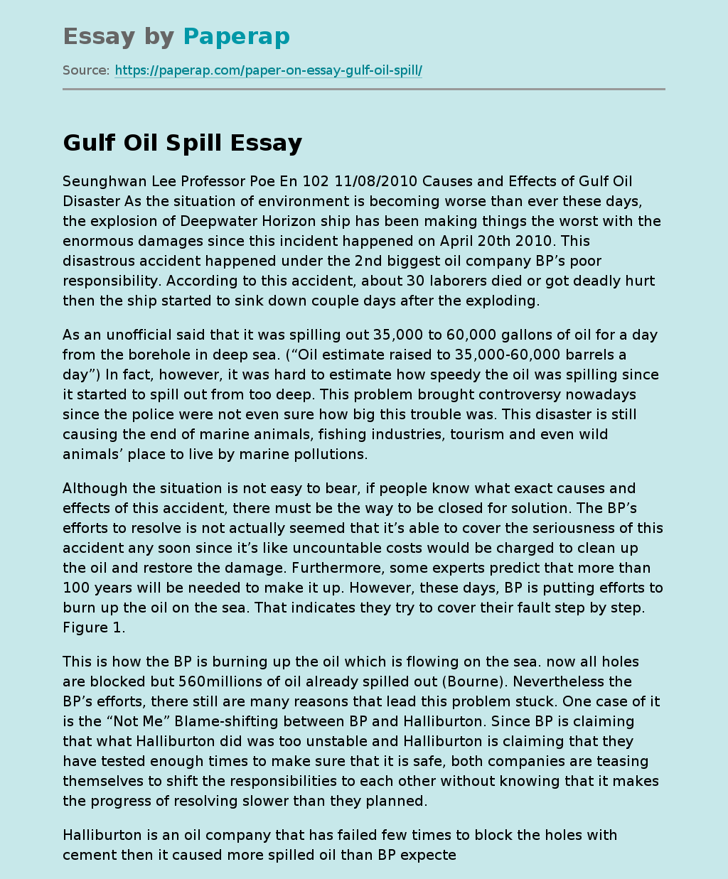 Gulf Oil Disaster: Causes and Effects