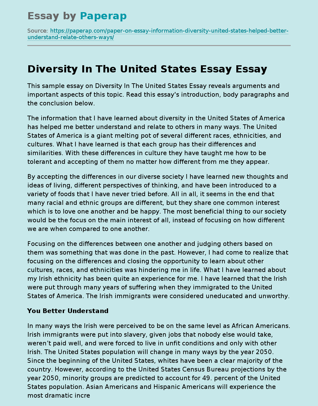 Diversity In The United States Essay