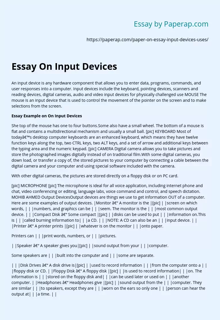 Essay On Input Devices