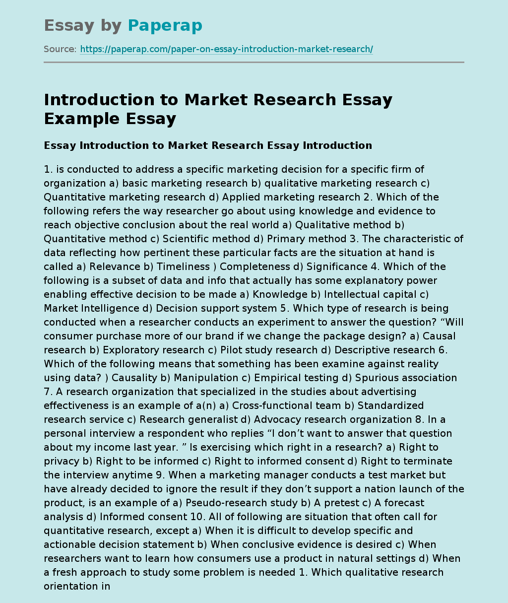 Introduction to Market Research Essay Example