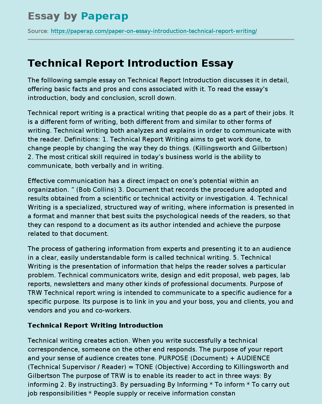 technical writing essay example