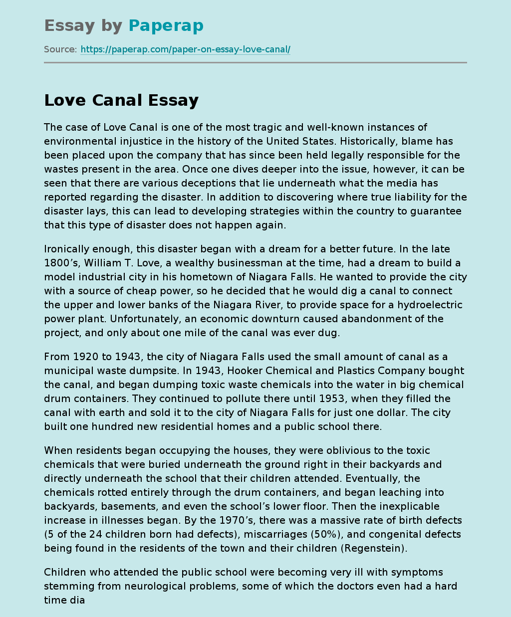Essay Love Canal