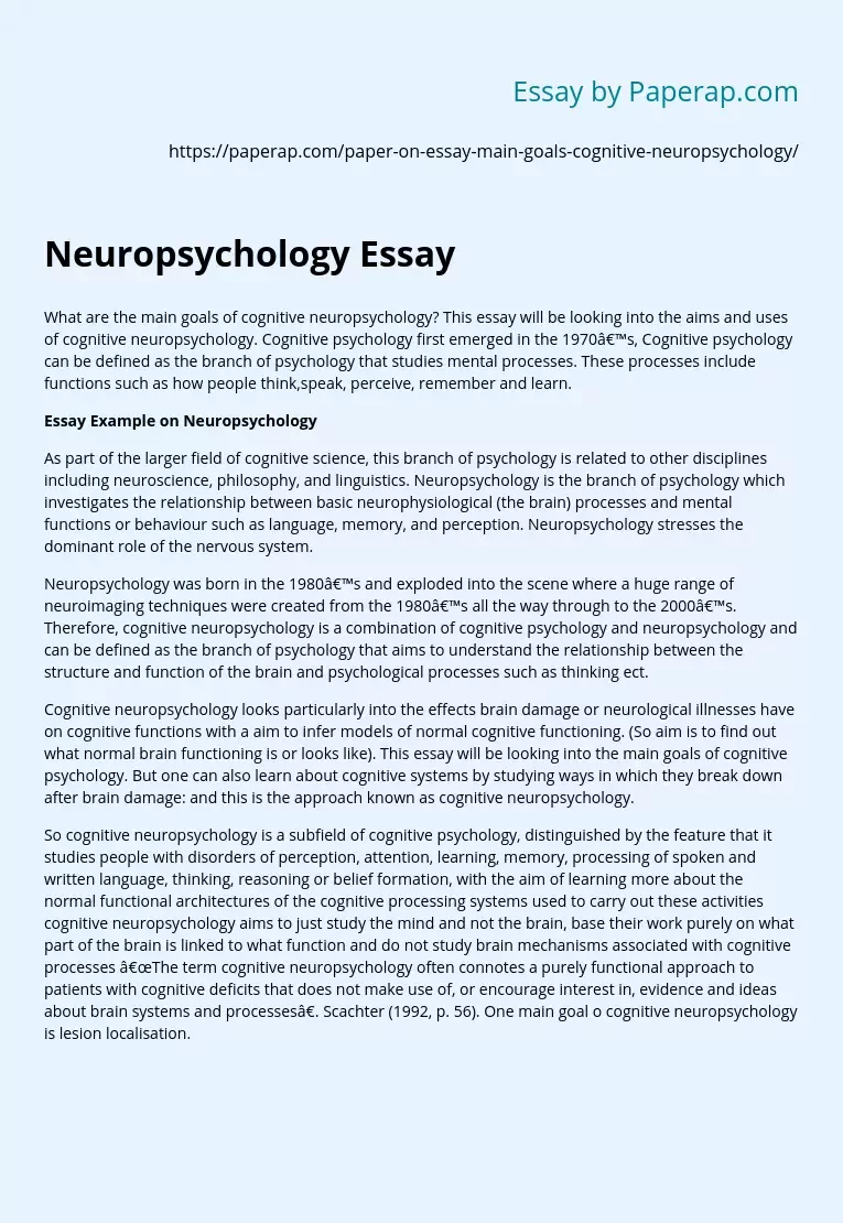 Реферат: Cognitive Neuroscience Essay Research Paper Cognitive Neuroscience