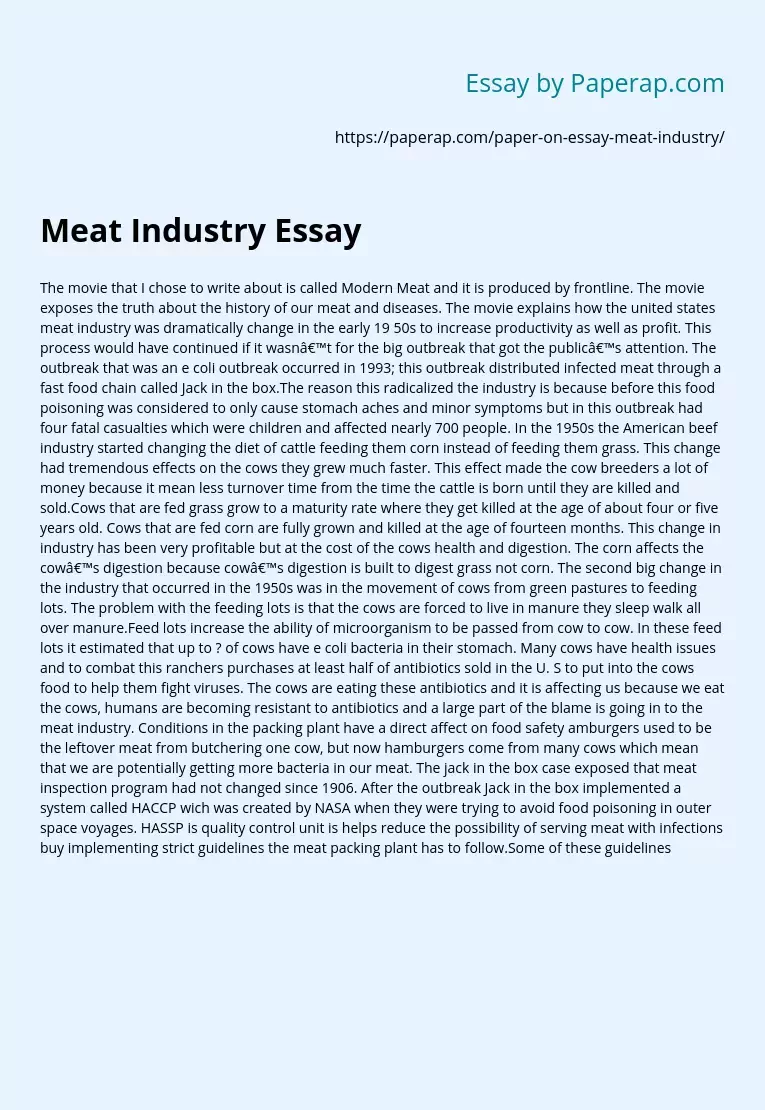 Meat Industry Essay