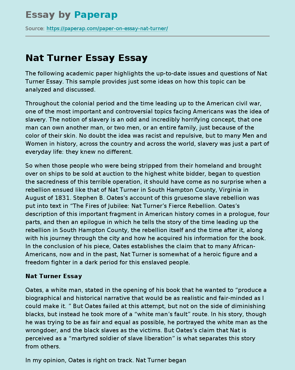 Nat Turner Essay