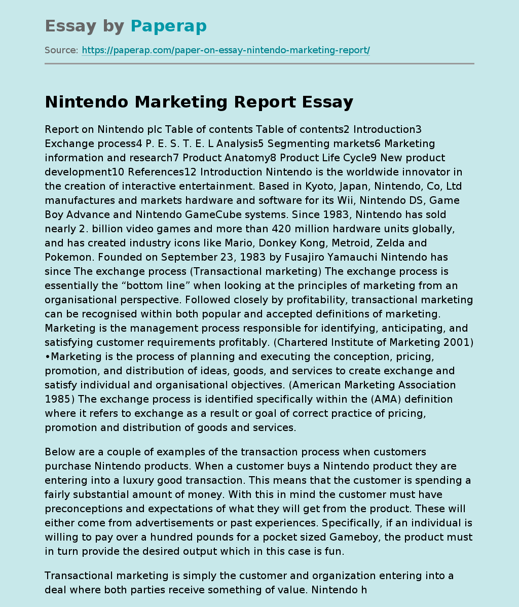 Nintendo Marketing Report