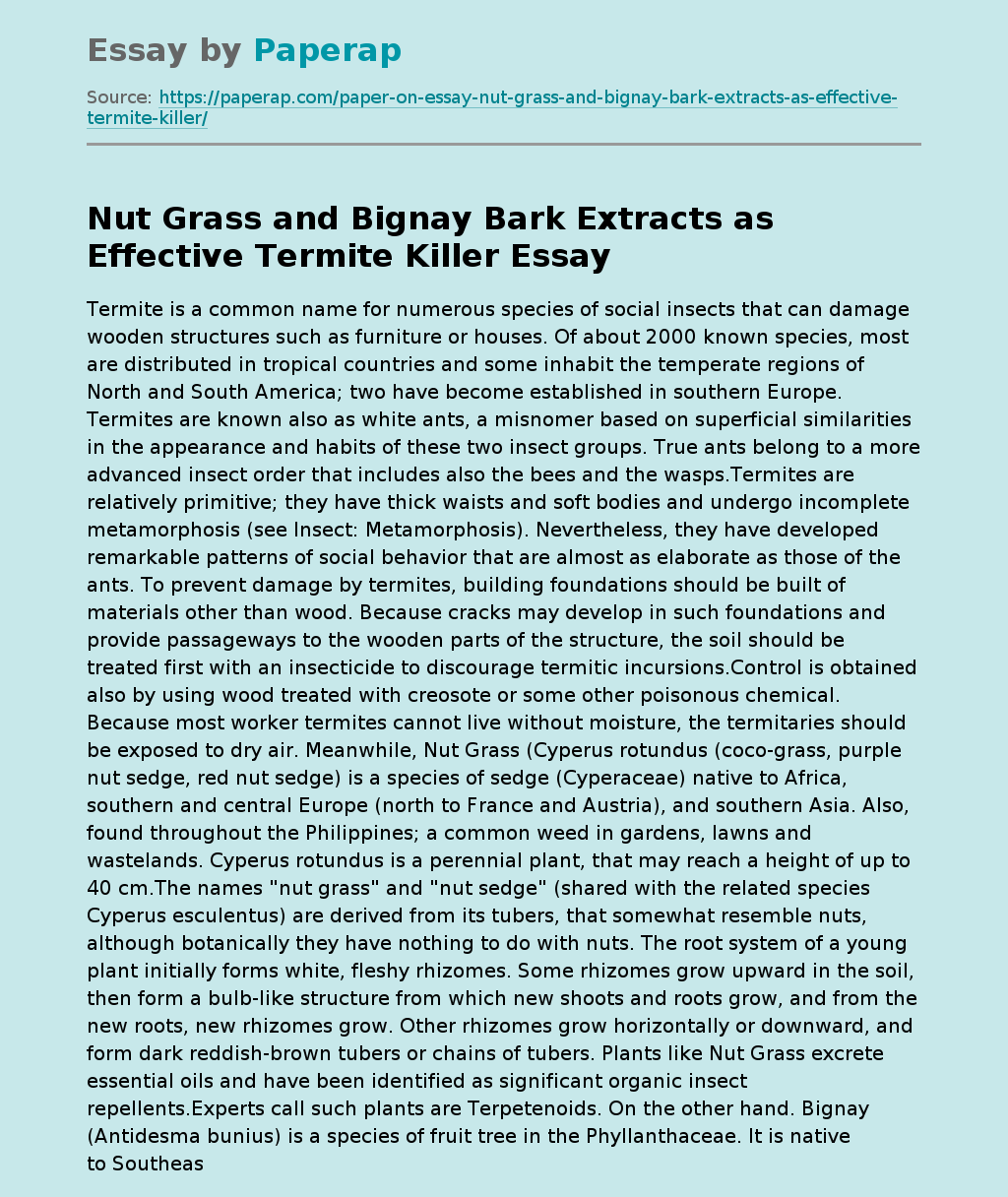 Nut Grass and Bignay Bark Extracts as Effective Termite Killer