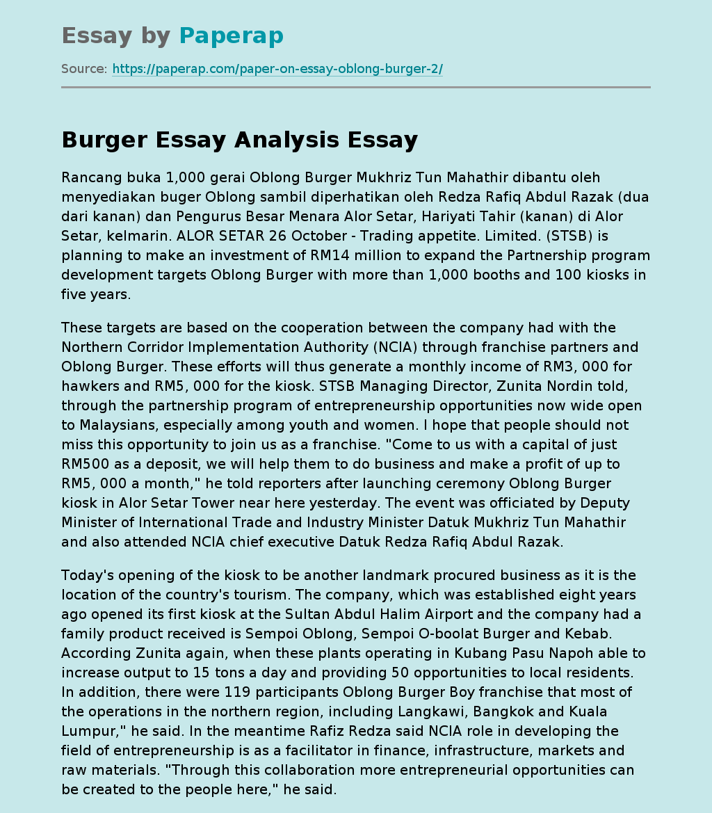 Burger Essay Analysis