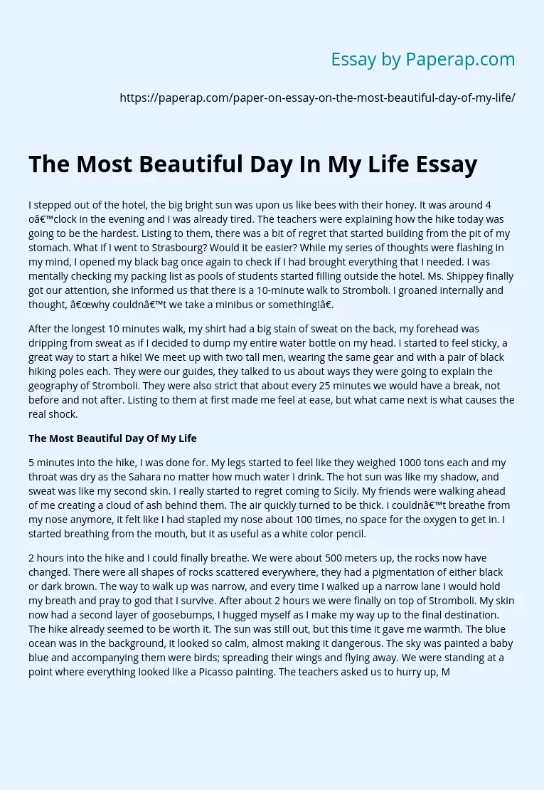 essay on beautiful day