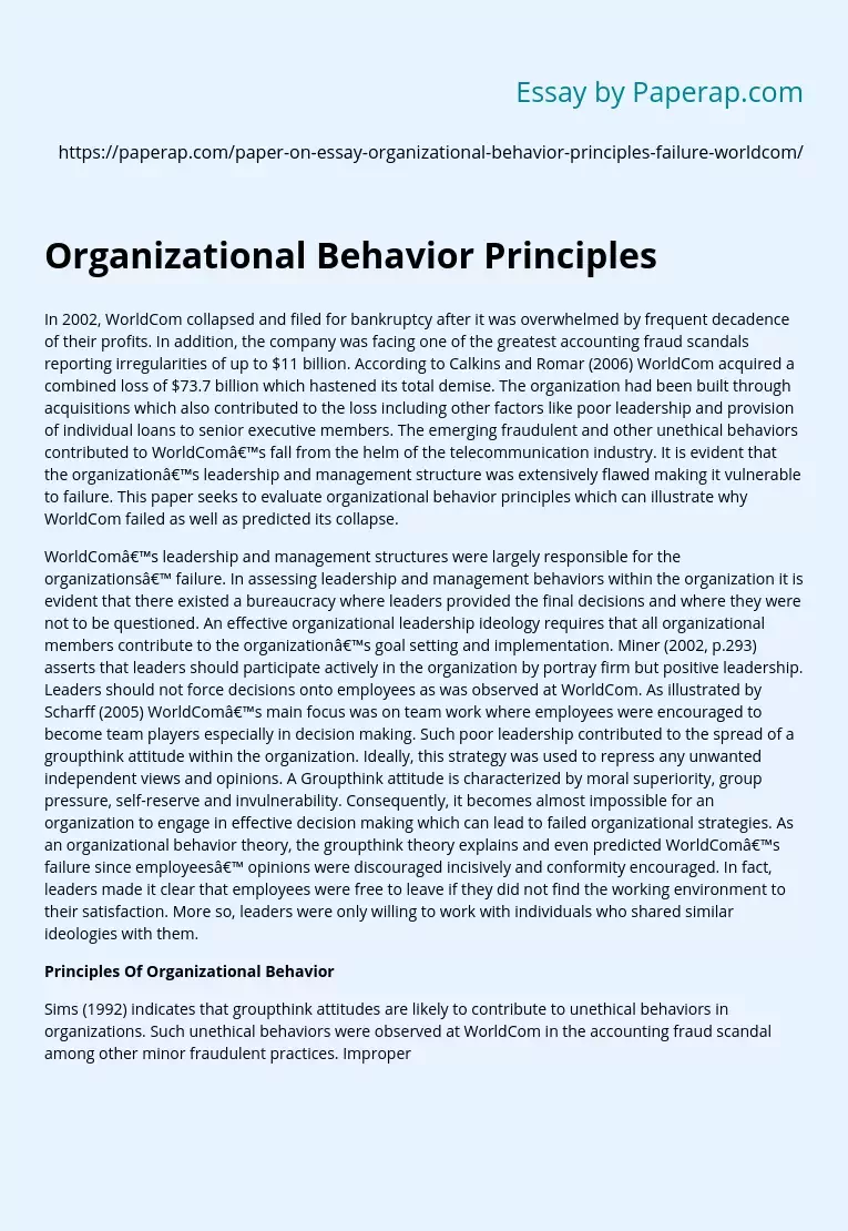 Organizational Behavior Principles