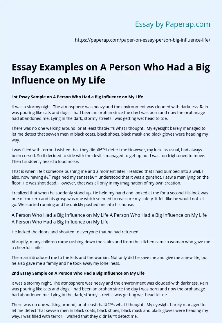 Essay Examples on A Person Who Had a Big Influence on My Life