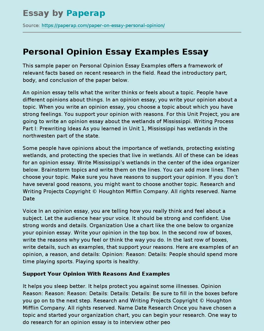 Personal Opinion Essay Examples