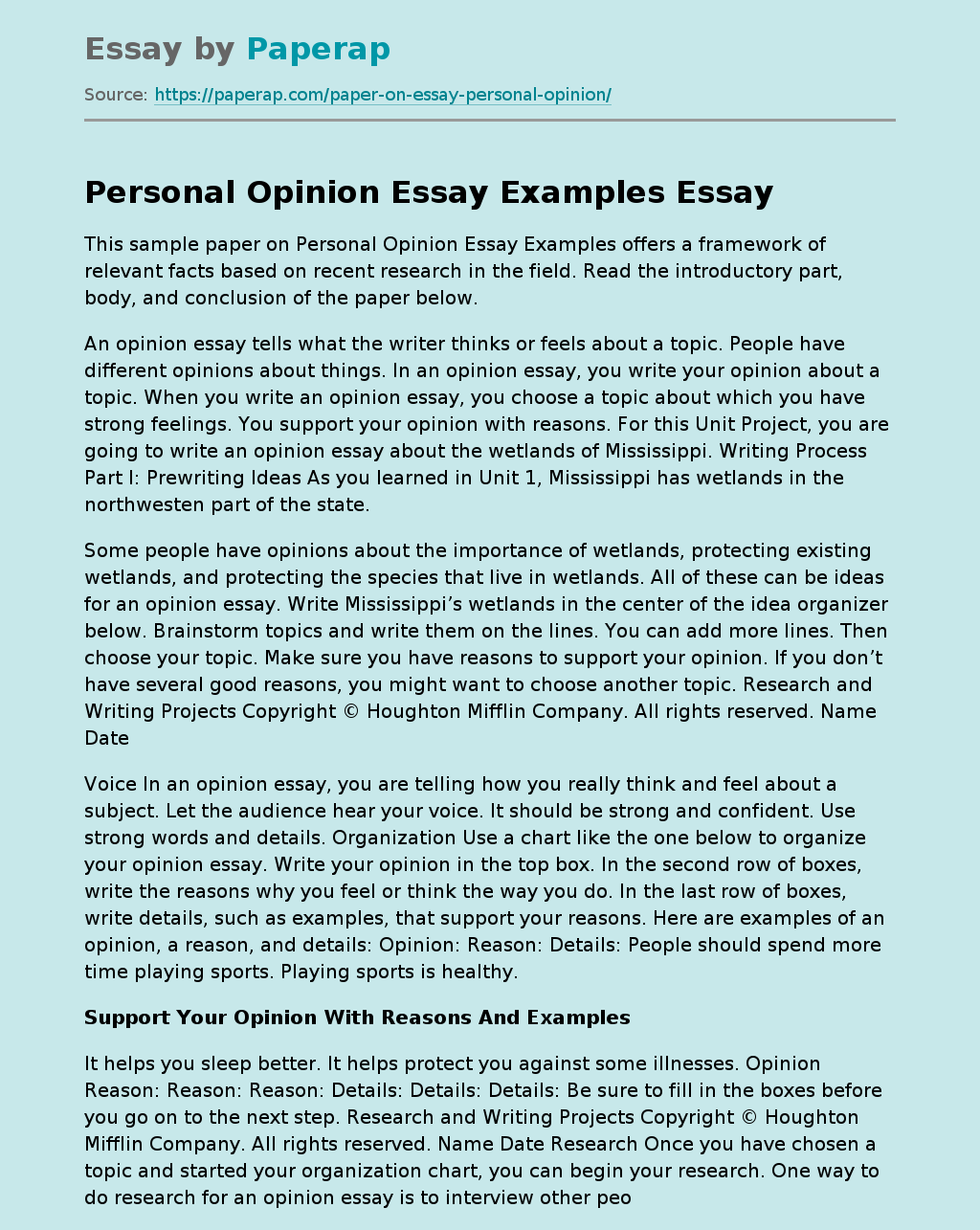 Personal Opinion Essay Examples Free Essay Example