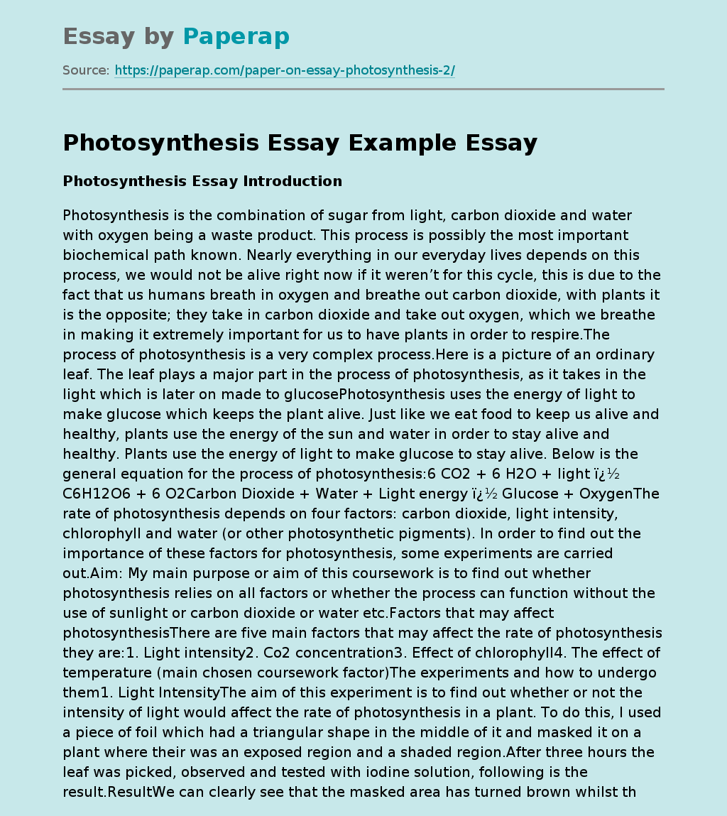 essay photosynthesis