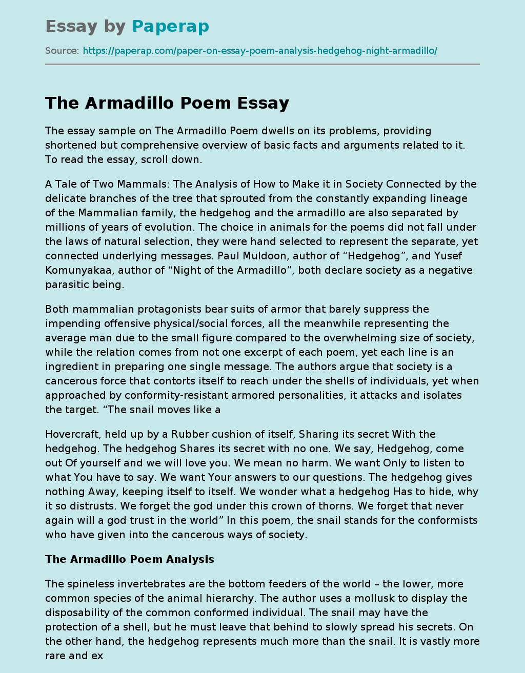 The Armadillo Poem