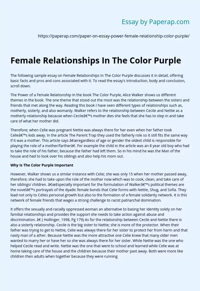 Female Relationships In The Color Purple