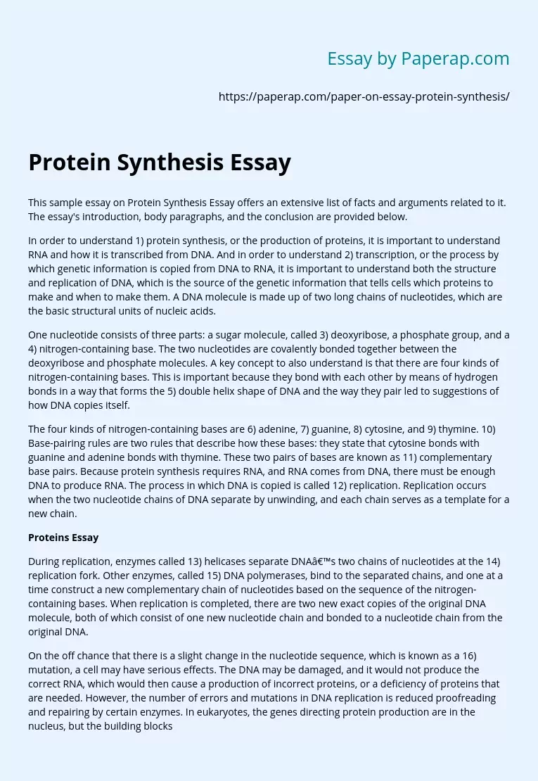 Protein Synthesis Essay