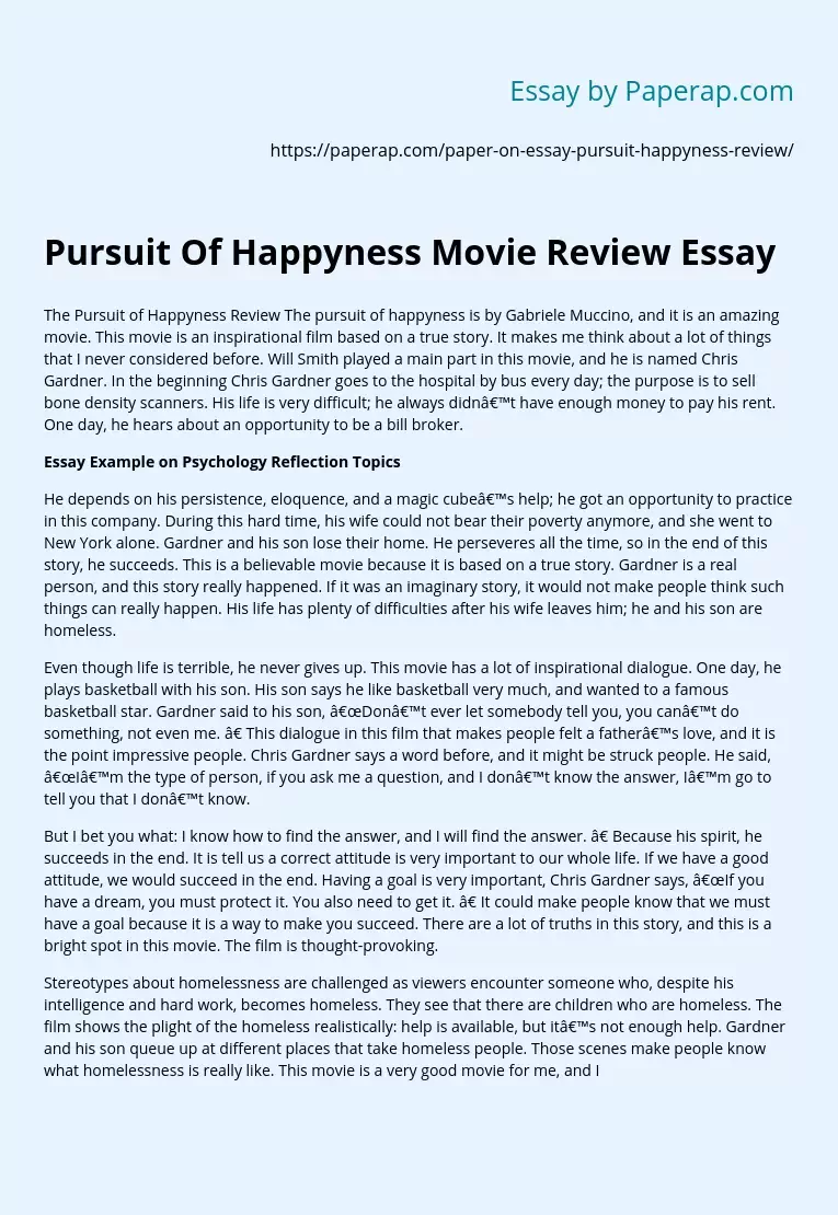 Pursuit Of Happyness Movie Review Essay