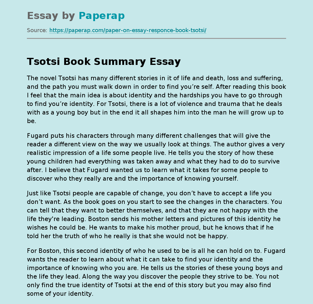 tsotsi literature essay example 300 words