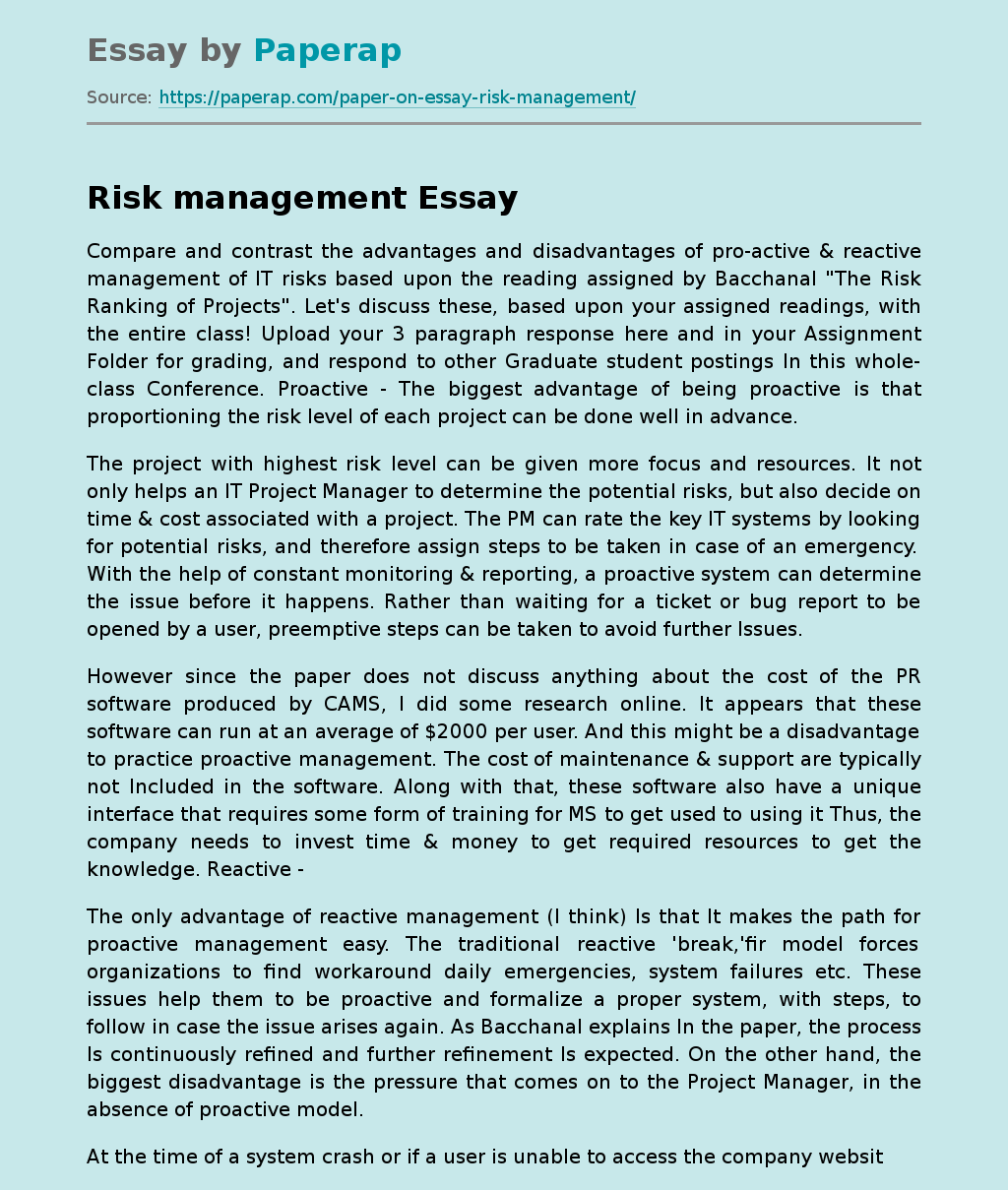 essay about risk management