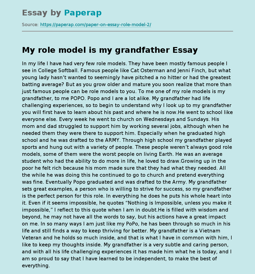 how do you write a role model essay