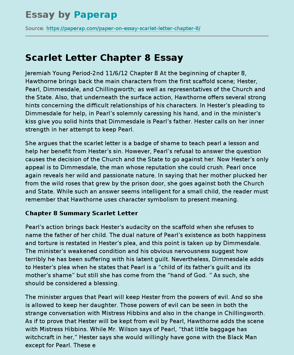Scarlet Letter Chapter 8