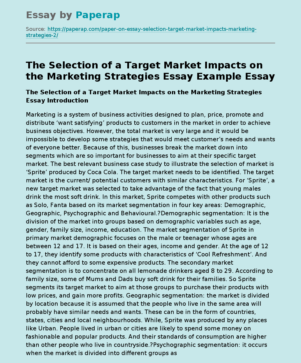essay on target market