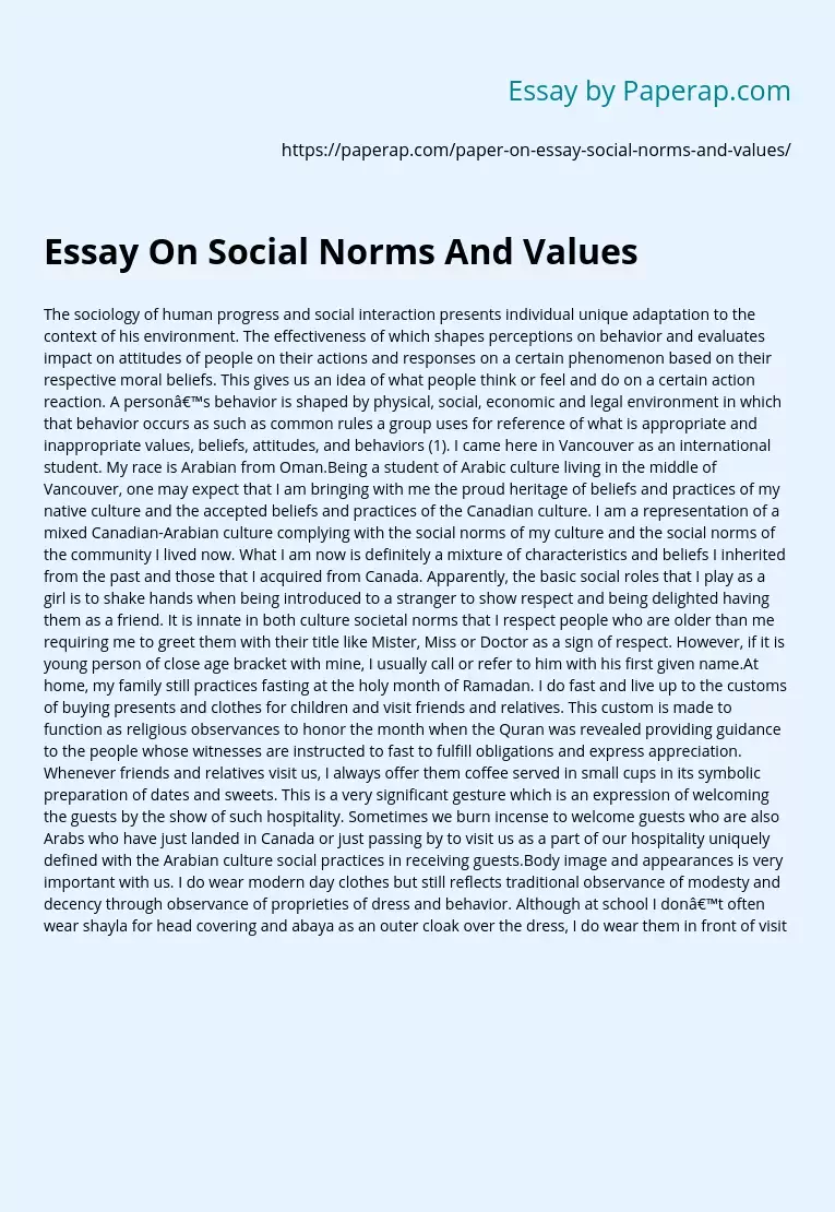 Essay On Social Norms And Values