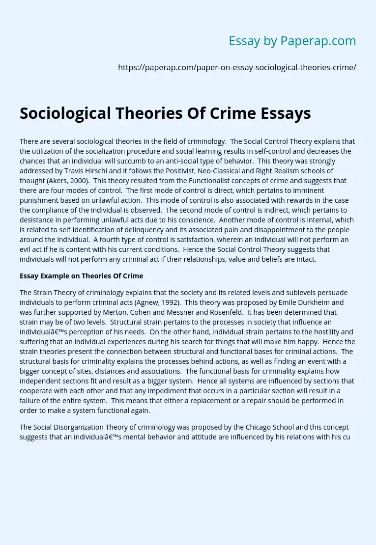 Sociological Theories Of Crime Essays
