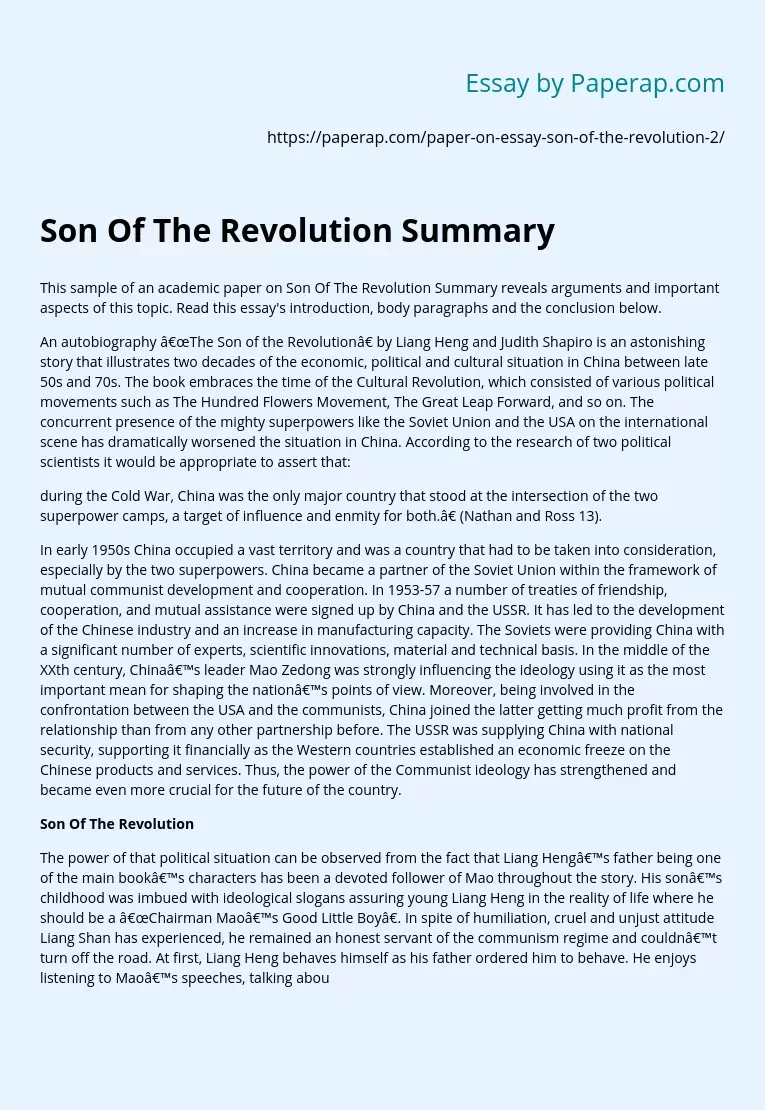 Son Of The Revolution Summary