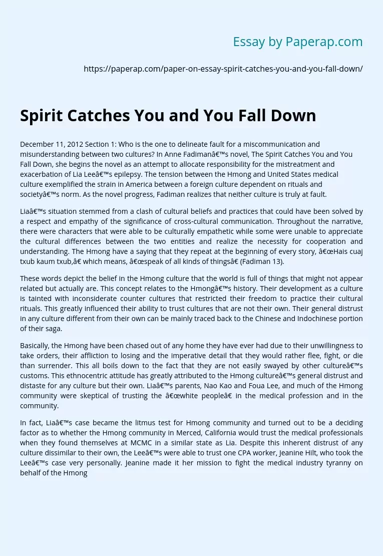 Spirit Catches You and You Fall Down