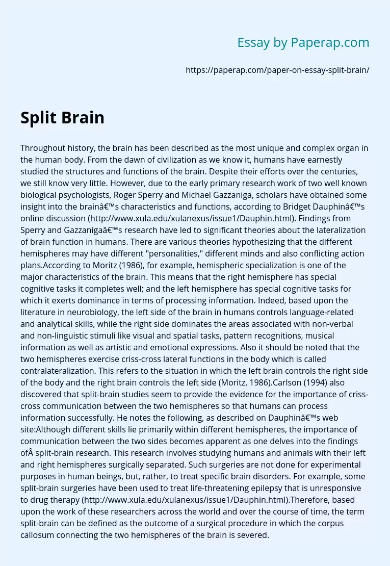 Split Brain