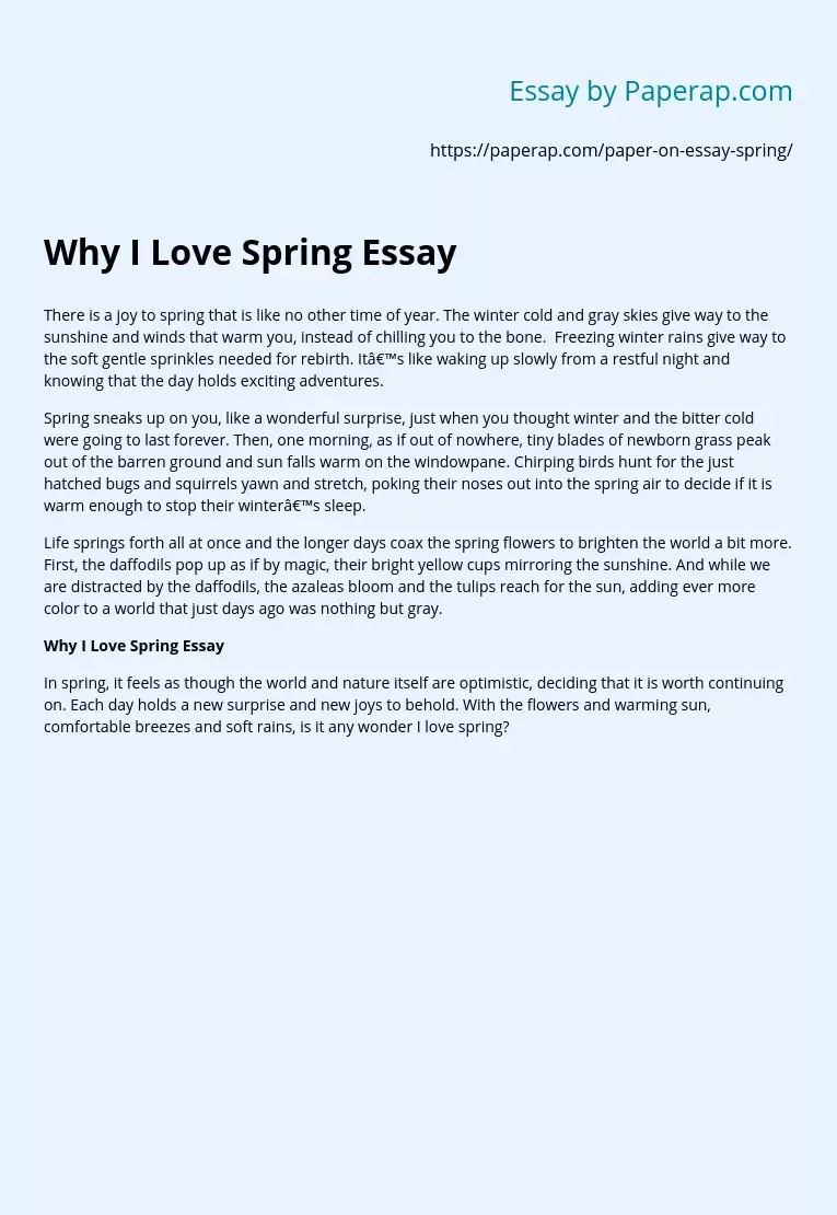 Why I Love Spring Essay