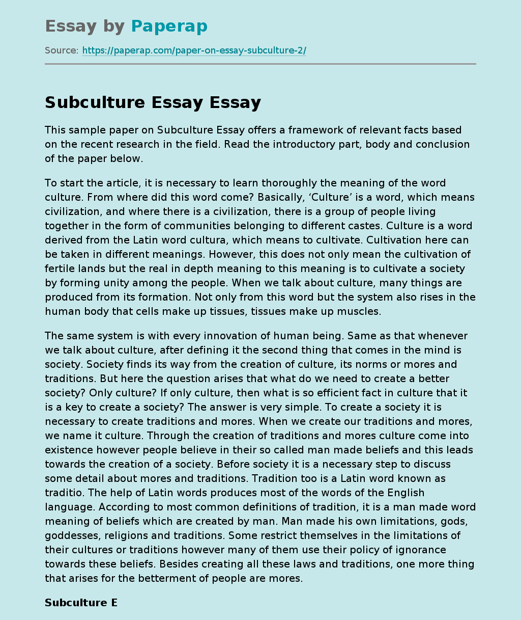Subculture Essay