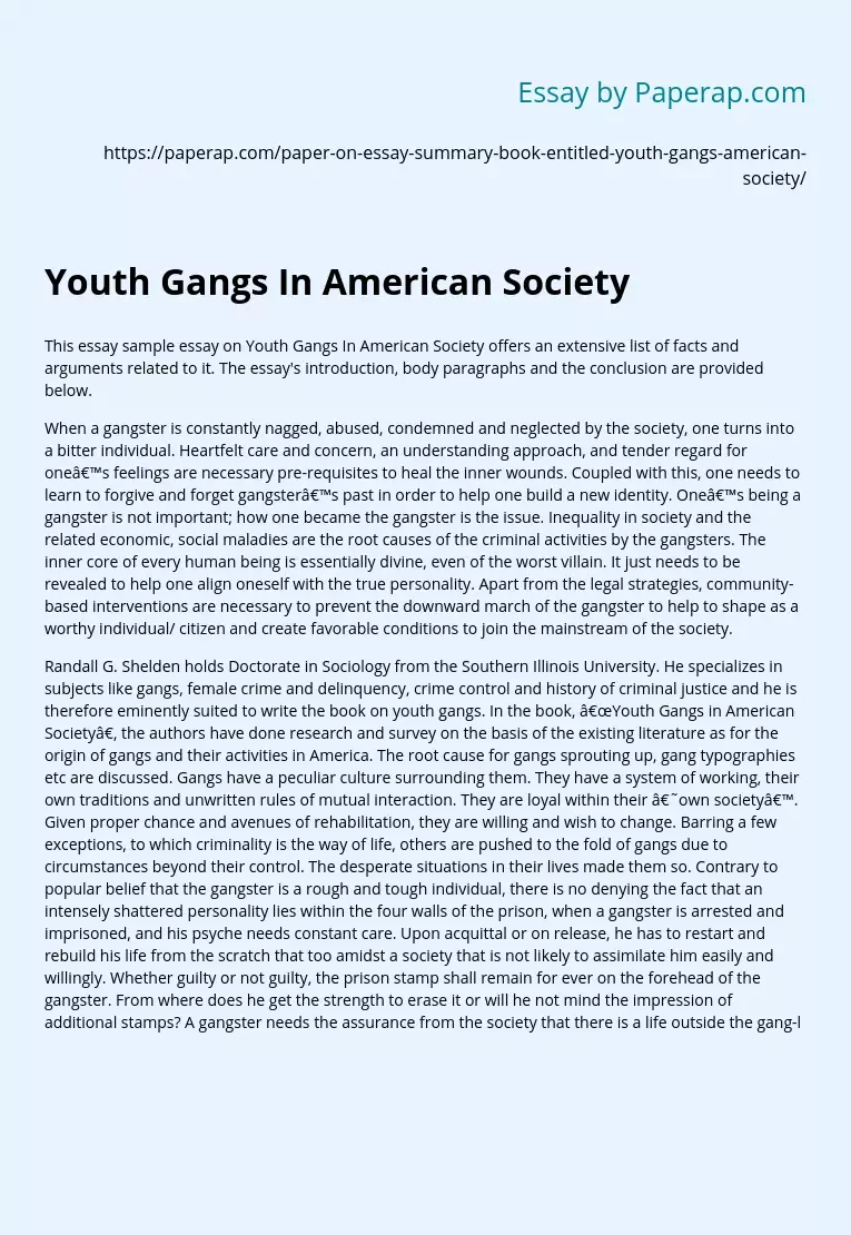 Youth Gangs In American Society