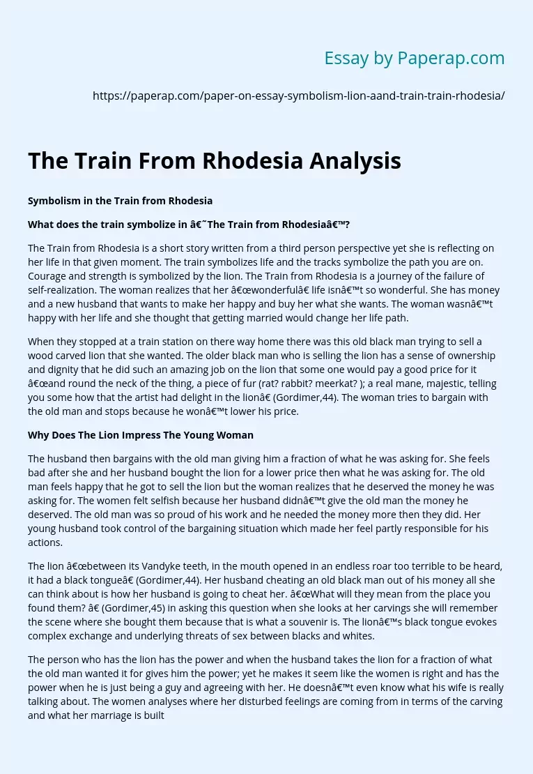 The Train From Rhodesia Analysis