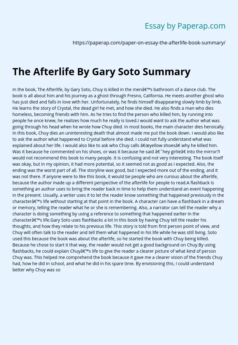 The Afterlife By Gary Soto Summary