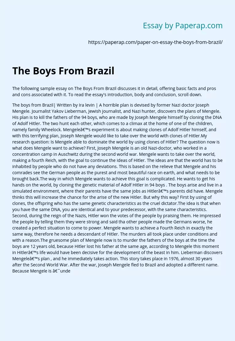 Реферат: Boys Form Brazil Essay Research Paper THE