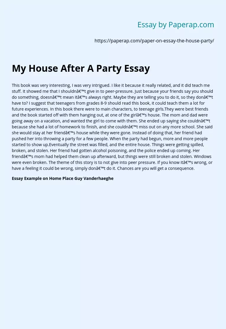 My House After A Party Essay
