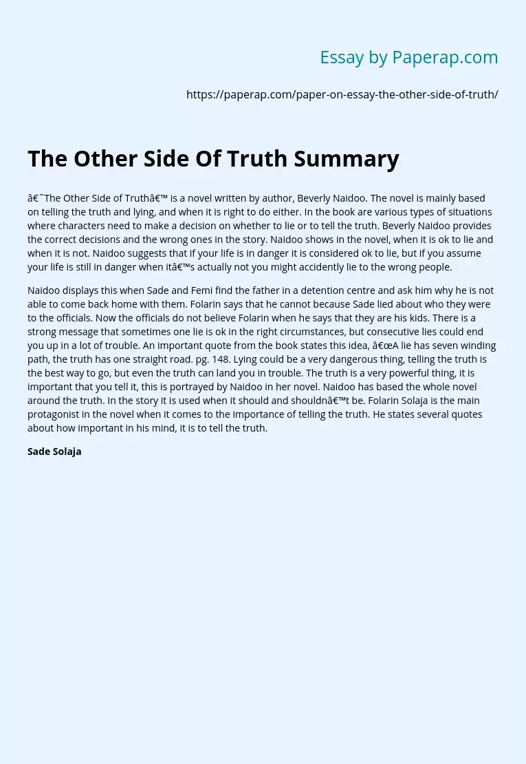 The Other Side Of Truth Summary
