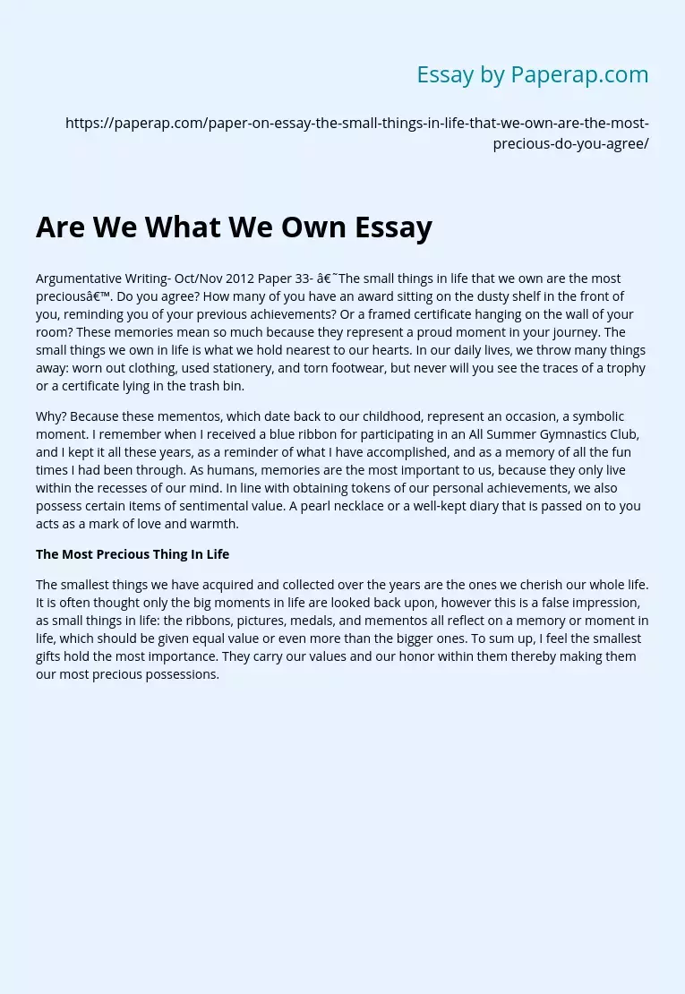 Are We What We Own Essay