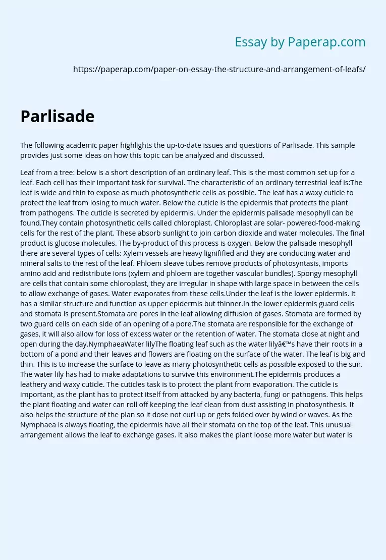 Parlisade Characteristic of an Ordinary Ground Sheet