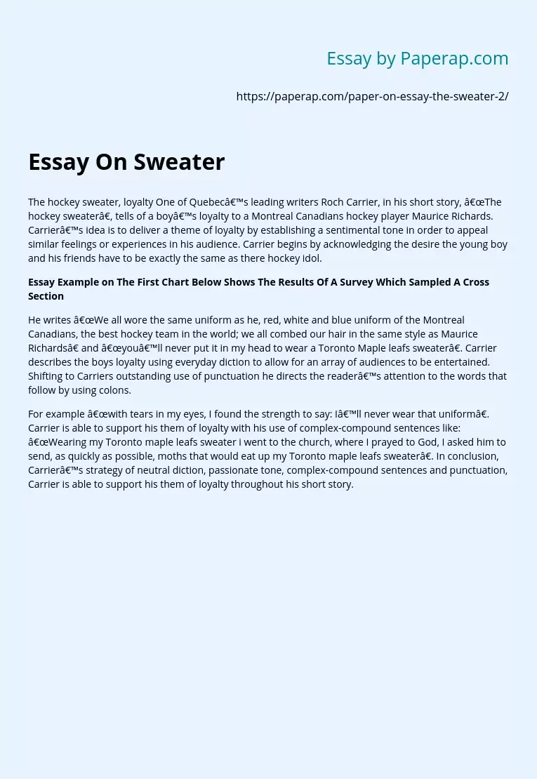 The Hockey Sweater Short Story Analysis