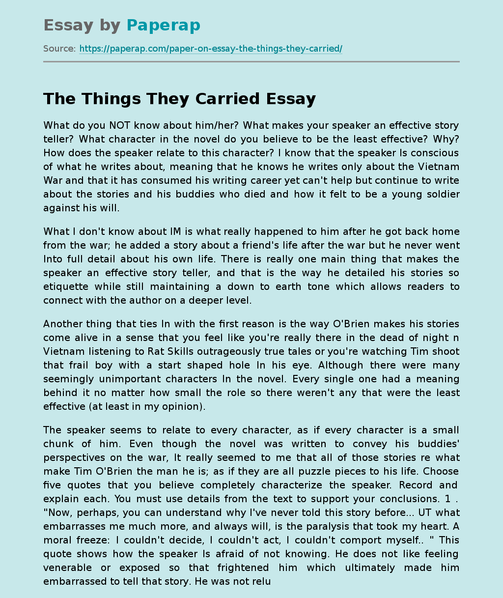theme essay the things they carried