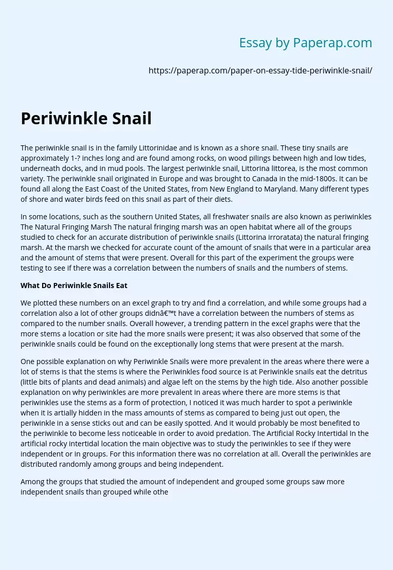 Periwinkle Snail