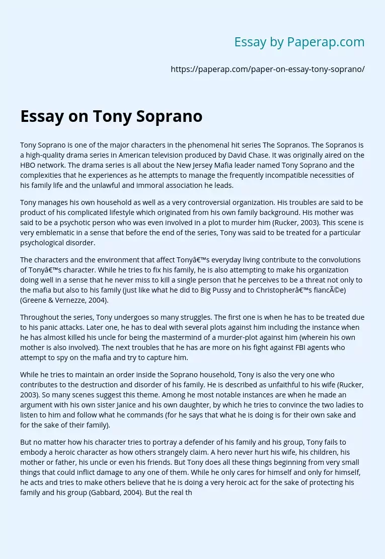 Essay on Tony Soprano